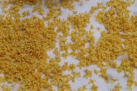 新鲜桂花怎么做干桂花？