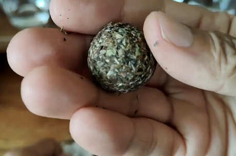碎银子茶到底好不好