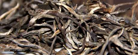 普洱茶春茶和秋茶的区别