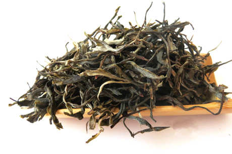 普洱茶春茶和秋茶的区别
