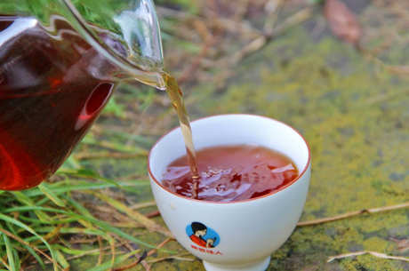冲泡普洱茶的方法