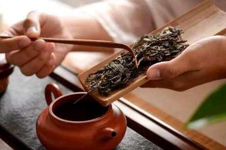生普洱茶饼撬开后需要醒茶吗？