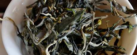 老同志普洱茶是台地茶吗？