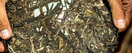 班章普洱茶怎么醒茶？