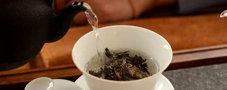 如何泡普洱茶比较好