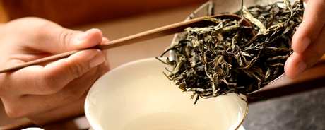 正确饮用普洱茶的方法
