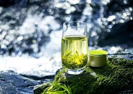 寸滩茶交易中心盛大开放