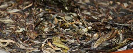 二十年的普洱茶还能喝吗？