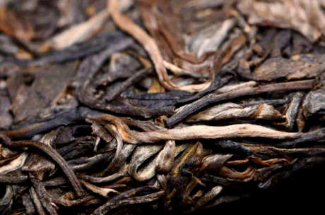 二十年的普洱茶还能喝吗？