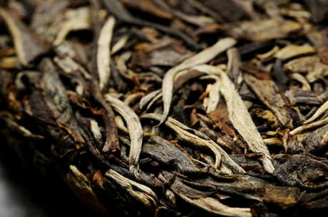 生普洱茶的功效和作用是什么？