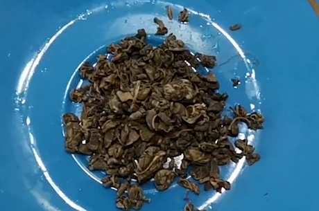 罗布麻茶的功效和作用