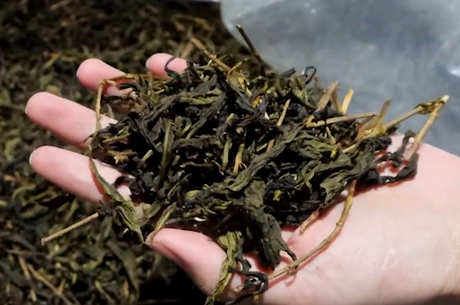 乌龙茶的功效和作用