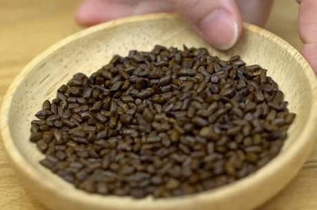 决定明子茶的功效和作用