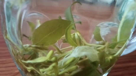 金银花泡水的作用和功效