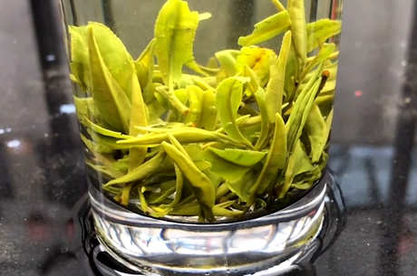 毛尖茶的功效和作用