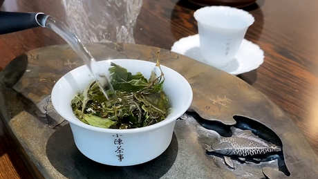 白茶的功效和作用