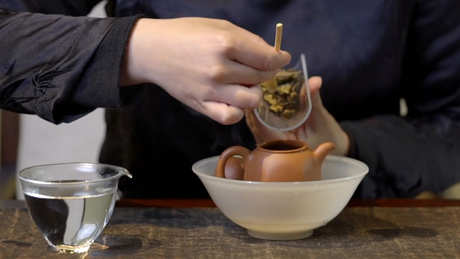 白茶的功效和作用以及禁忌