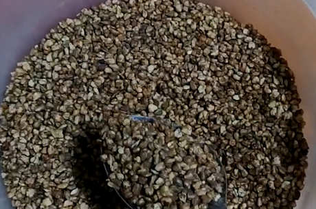 荞麦茶的功效和作用