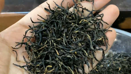 红茶和绿茶的区别效果