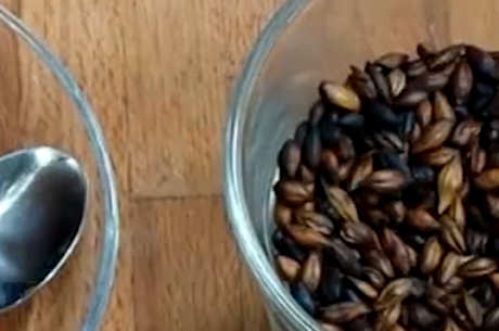 一夜之间可以喝大麦茶吗？