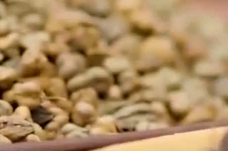 荞麦茶和苦荞茶的区别