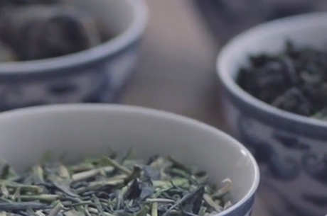 谁发明了茶