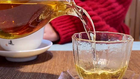 陈皮和茶可以一起泡吗？