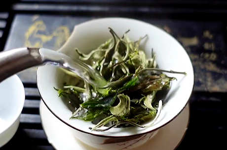 安吉白茶功效