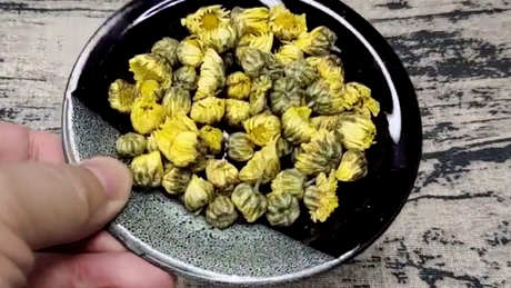 菊花和蒲公英能一起泡水吗？