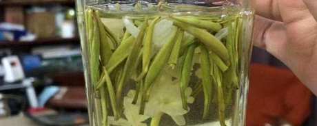 冬天能喝茉莉花茶吗？