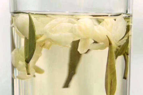 冬天能喝茉莉花茶吗？