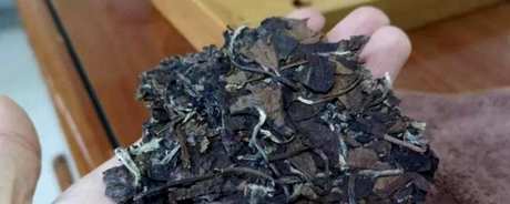最好在几年内喝普洱熟茶