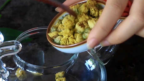 菊花金银花枸杞茶的副作用