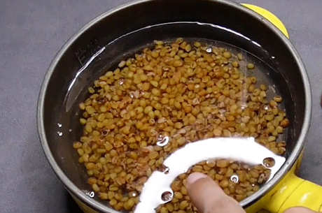 炒麦芽和大麦茶一样吗？