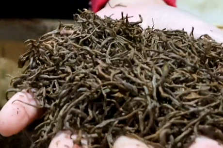 为什么一喝红茶就生气？