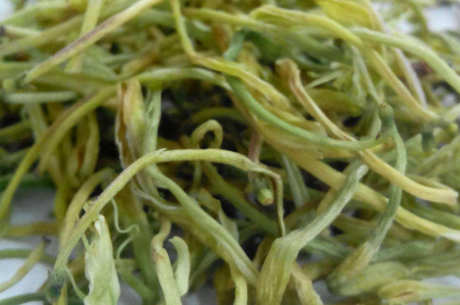金银花茶去火吗？