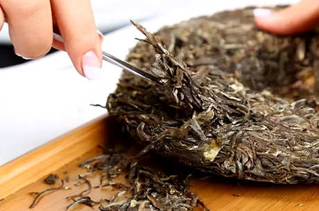 南糯拔玛古树茶的特点
