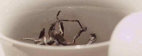 普洱茶的7种冲泡方法