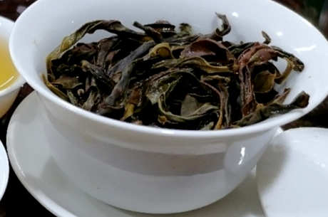 鸭屎香属于什么茶？