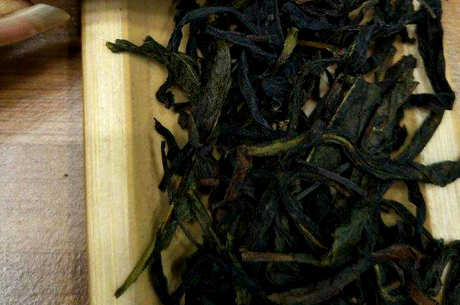 凤凰单丛茶是冷还是温？