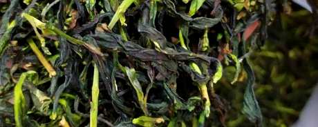 为什么茶叫鸭屎香？