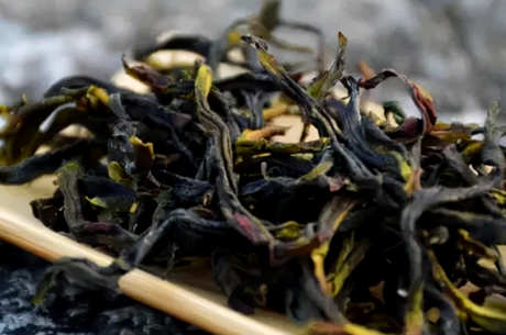 为什么茶叫鸭屎香？