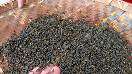 喝什么茶去湿气？