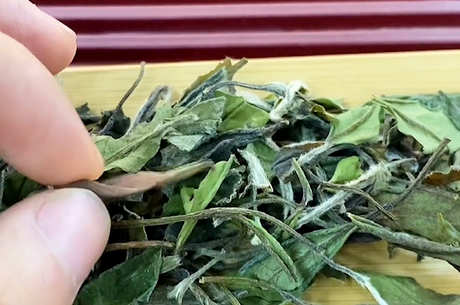 茶叶储存的时间越长越好吗？