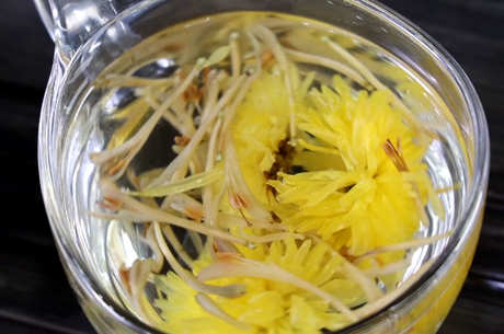 菊花金银花可以一起泡吗？