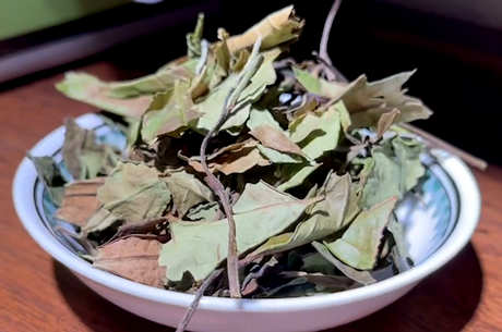 喝白茶会失眠吗？