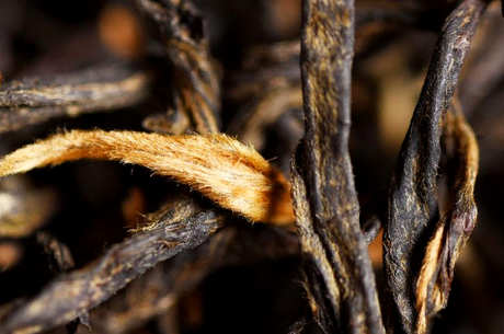 武夷山野生红茶是什么茶？