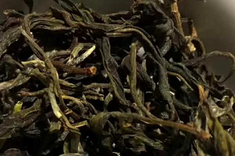 古树金针茶的特点和功效