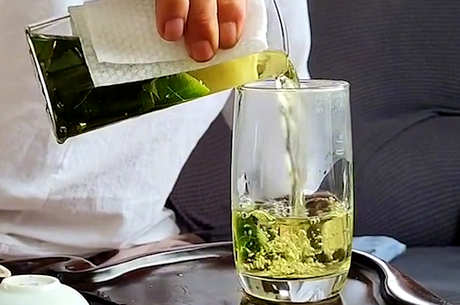 饮用桑叶泡水的禁忌
