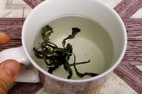 在水中饮用蒲公英是禁忌